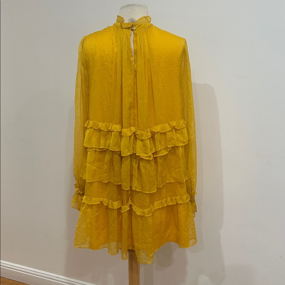Adam Lippes x RTR Tiered ruffle dress size: 6 - Picture 8 of 11